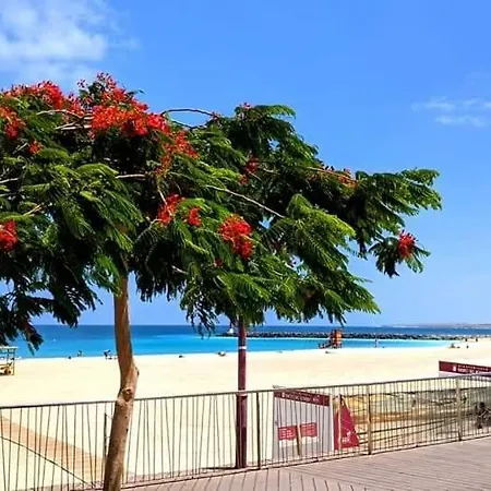 Casa La Ola - Monthly